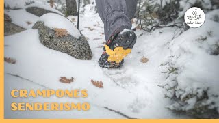 Mejores Crampones Senderismo Grivel Spider