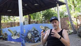 World Acclaim Swiss Artist Patrick REDL Wehrli Debuts Graffiti in Mai Khao Marine Turtle Foundation