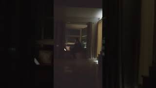 Dekho by Kaavish (Cover)