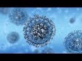 Жизнь вируса (моя озвучка английско