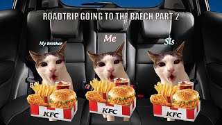 Cat MEMES: Family Road Trip Part 2