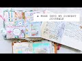 A Peek into My Current Journals | Chatty Video