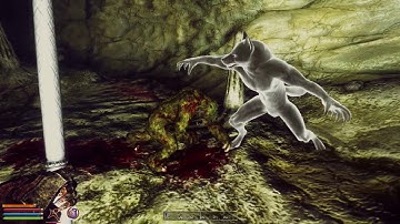 Oblivion - FCOM is great!