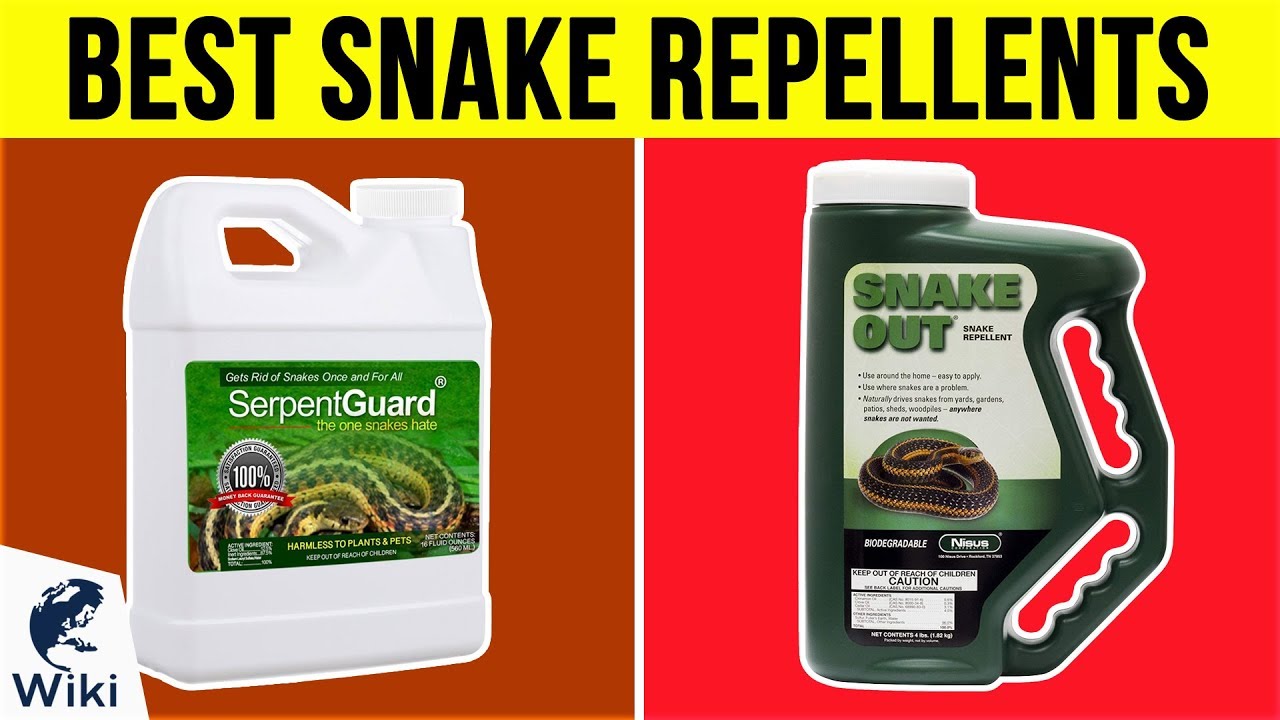 What Is The Best Snake Repellent For Homes - Snake Poin