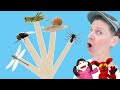 Bugs Part 2 | Pop Sticks Song with Matt | Dream English Kids