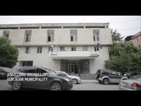 ქარსაფარი ზოლების გაშენება შიდა ქართლისა და კახეთის რეგიონებში