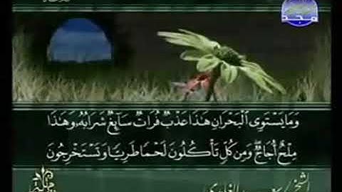 سورة فاطر من الآية 12 الى الآية 30