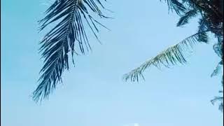 musikalisai puisi-aku menanti bahagia(bertahun aku bahagia)