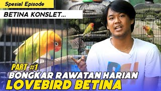 BONGKAR SETTINGAN BETINA KONSLET DARI STEP AWAL SAMPAI AKHIR