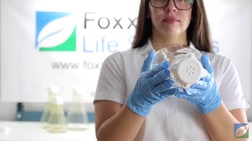 EZclear Erlenmeyer Flask | Foxx Life Sciences