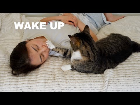 Cinnanoe Leak: A Wake-Up Call