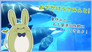 【お雑談】おでかけうさみんと！～夏休みの名古屋港水族館！～【Vtuber】