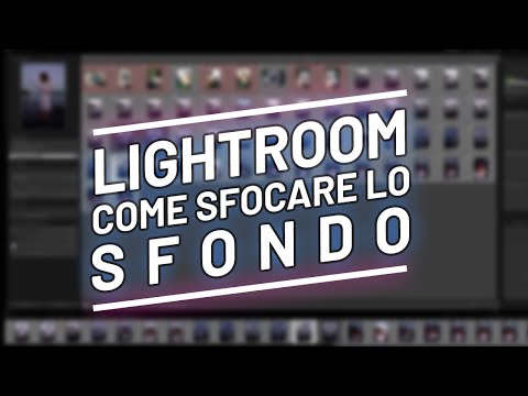 Video: Come sfocare lo sfondo in Lightroom?