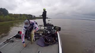 T-H Marine FLW BFL at Ross Barnett