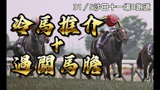 冷馬推介及過關馬膽.31/5沙田十一場B跑道.