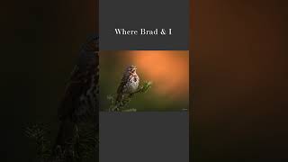 The Wildlife Photography Question and Answer Episode - Wildlife Photo Chat Video Teaser