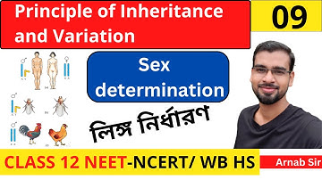 Principle of Inheritance and Variation 09 | Sex Determination | in Bengali | Class 12th NEET Biology