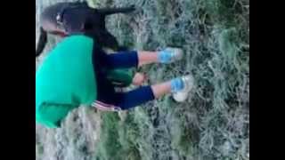 Mein Hund Macht Arschbombe In Die Ramsdorfer Aa