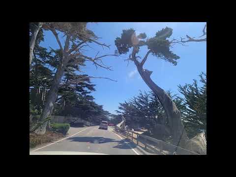 17 Miles Drive Hwy 1 Bay Area Most Beautiful Drive Must For A Tourist San Francisco Bay 17 Miles Drive Hwy 1 Bay Area Most Beautiful Drive Must For A Tourist San Francisco Bay