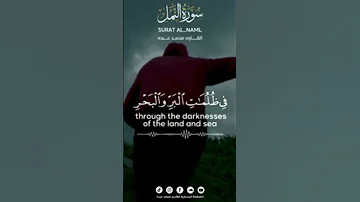 الشيخ محمد عبده 