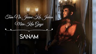 Tum Na Jaane Kis Jahan Mein Kho Gaye | Sanam