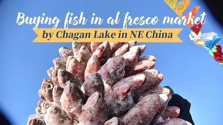 Live: Buying fish in al fresco market by Chagan Lake in NE China查干湖里捕上来的鱼去哪儿了呢？