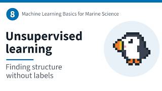8 · Unsupervised learning: finding structure without labels | ML Basics for Marine Science