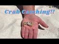 How to Dig up Ghost Crabs at the Beach