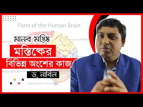 ভিডিও: জীববিজ্ঞানের তিনটি ডোমেন কি কি?