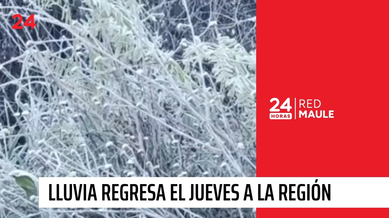Frío estos días y lluvia regresa el jueves al Maule | 24 Horas - Red Maule