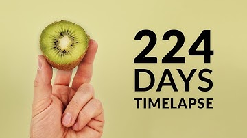 Growing KIWI Time-lapse 224 Days