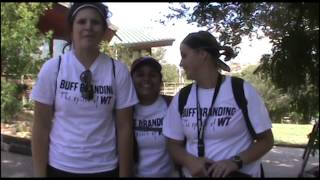 Buff Branding 2012