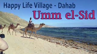 Download Lagu Happy Life Village Umm el Sid Dive Site Dahab MP3