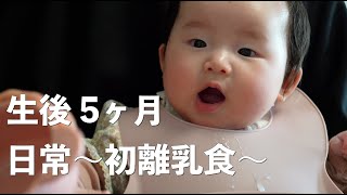 【生後5ヶ月】日常〜初めて離乳食を食べた〜