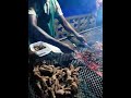 Street Steak Malawian Style Redmeat Africa 