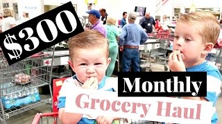 $300 Monthly Grocery Haul for a Family of 5 | Walmart Haul & Costco Haul