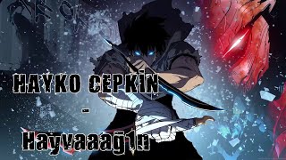 Hayko Cepkin - Hayvaaağ1n Şarkı Sözleri Resimi