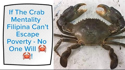 The  Crab Mentality Filipina Is Her Own Worst Enemy🦀🦀!