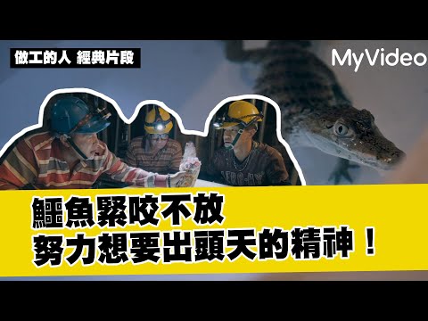 【做工的人 經典片段】鱷魚緊咬不放 努力想要出頭天的精神！｜MyVideo線上看