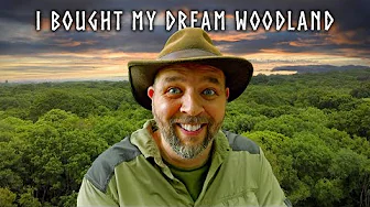 I Bought an Ancient Woodland