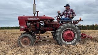 Drip Tape Irrigation Removal with a Farmall 140
