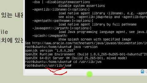 Webjjang Hadoop 02-02 apt-get을 이용한 openJDK 패키지 설치하기(웹짱과 함께하는 하둡)