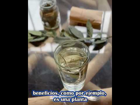 Para que sirve