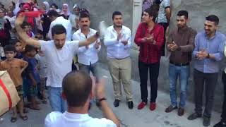 Urfa Halay, Ortaya Cikma, Hizli Halay
