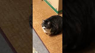 IMG 0754