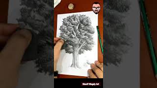 How to draw a realistic tree | كيفية رسم شجرة واقعية
