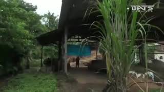 Agos kotak Kata kata bijak agos kotak