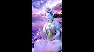 Bài học giúp bạn cân bằng cảm xúc#shorts