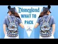 What to Pack for Disneyland // Disneyland 2018