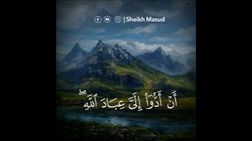 أرح قلبك ❤️ | من سورة الدخان | القارئ شيخ مسعود